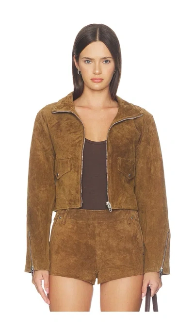 Blanknyc Suede Moto Jacket In Double Espresso