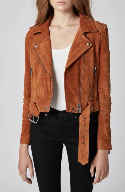 Blanknyc Suede Moto Jacket In El Dorado