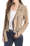 BLANKNYC BLANKNYC SUEDE MOTO JACKET