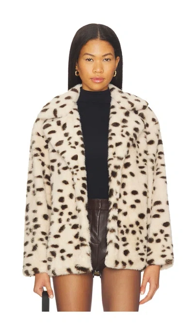 Blanknyc Teddy Coat In Neutral