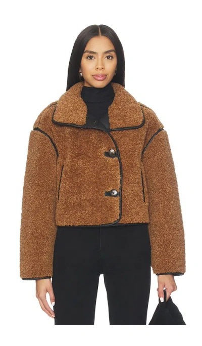 Blanknyc Teddy Coat In Brown