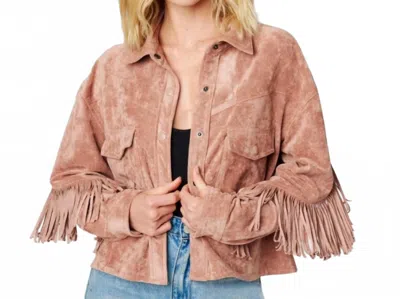 Blanknyc Women's Vegan Suede Fringe Jacket In Hot Cocoa Tan In Brown