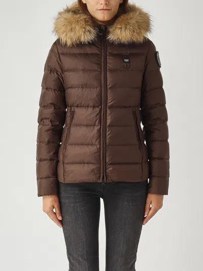 Blauer Arcadia Jacket In Brown