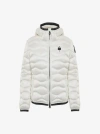 Blauer Camelia In White