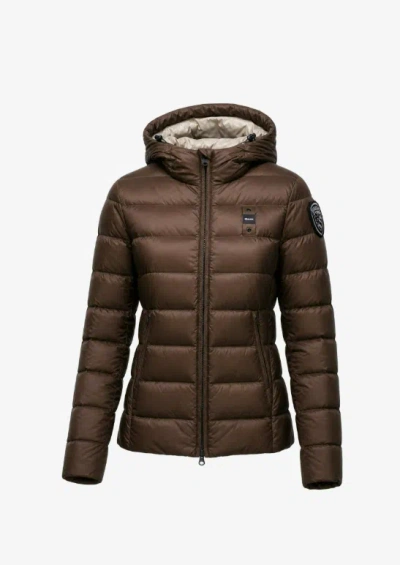 Blauer Charme In Brown