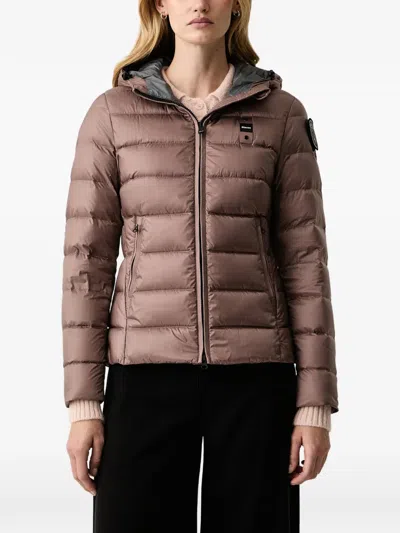 Blauer Charme Quilted Hooded Padded Jacket In Multi