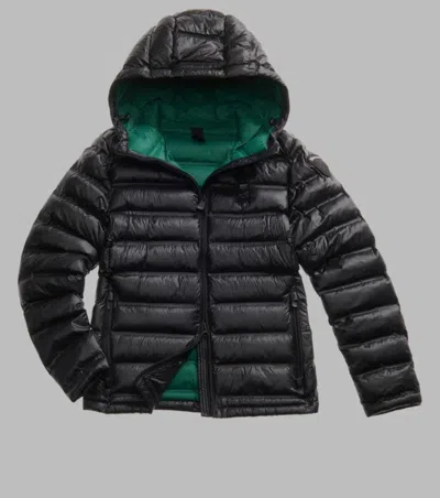 Blauer Ellis