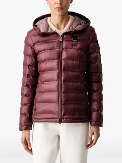 Blauer Ellis Hooded Padded Jacket In Brown
