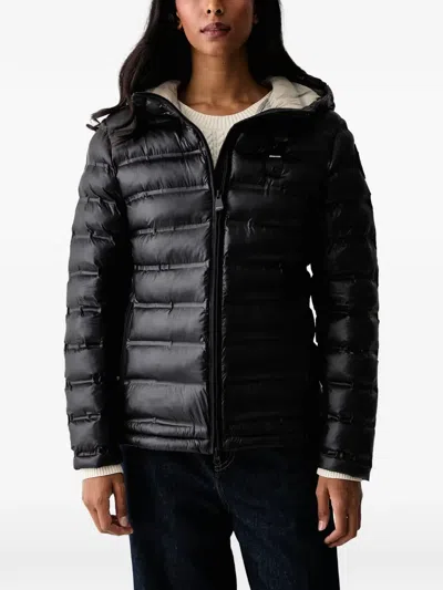 Blauer Ellis Quilted Hooded Jacket In Black