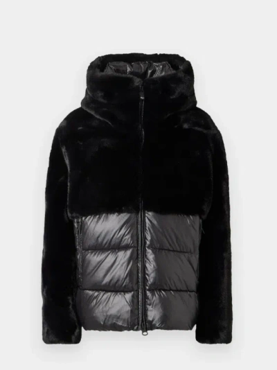Blauer Fanevil In Black