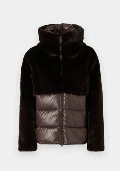 Blauer Fanevil In Brown