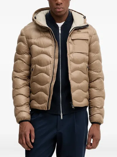 Blauer Hooded Jacket In Brown