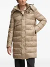 Blauer Hooded Padded Jacket In Brown