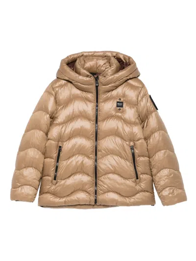 Blauer Hooded Quilted Jacket In Brown