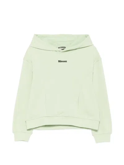 Blauer Hoodie Mit Logo-stickerei In Green