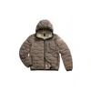 Blauer Brown Polyester Coat In Gray