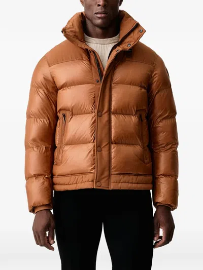 Blauer Quilted High-neck Jacket In Brown