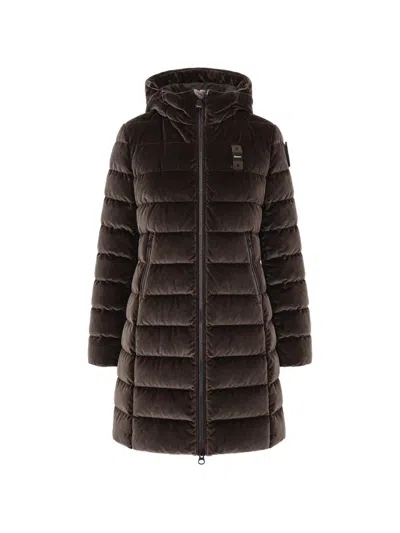 Blauer Quilted Hooded Coat In Brown