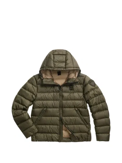 Blauer Quilted Hooded Jacket In Green