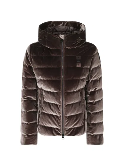 Blauer Quilted Velvet-effect Jacket In Brown