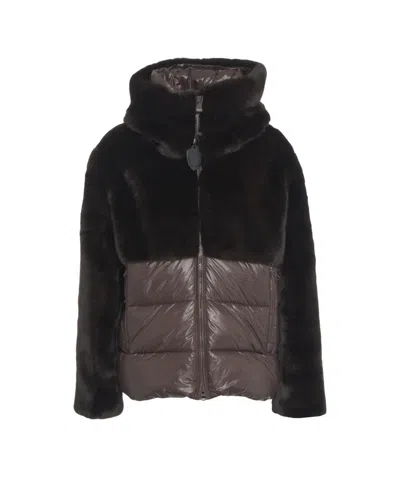 BLAUER TEXTURED BROWN SHORT COAT