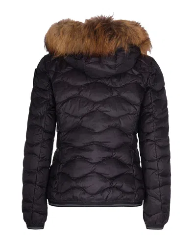 Blauer Usa Jacket In Black