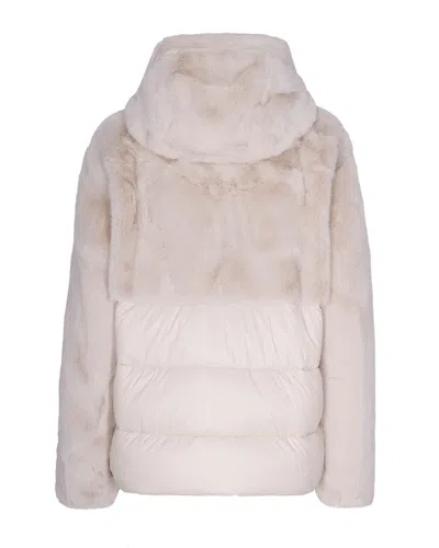 Blauer Usa Jacket In Pink