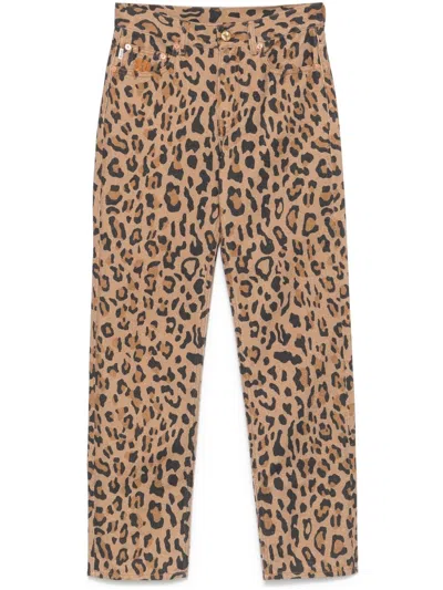 Blazé Milano Cotton Jeans In Brown