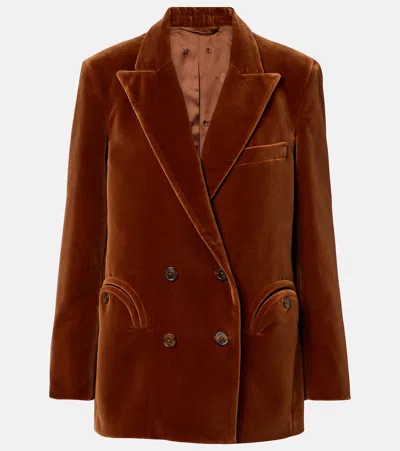 Blazé Milano Everynight Cotton Velvet Blazer In Brown