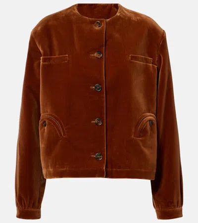 Blazé Milano Gliss Cotton Velvet Jacket In Brown