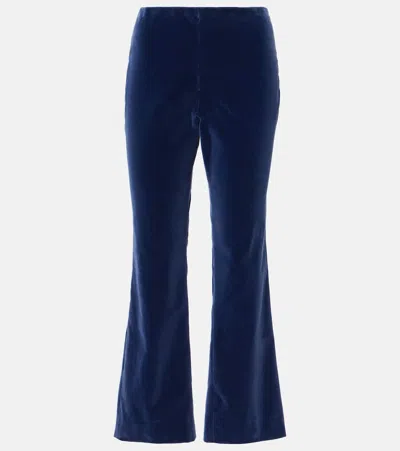 Blazé Milano Jealousy Morelia Velvet Flared Pants In Blue