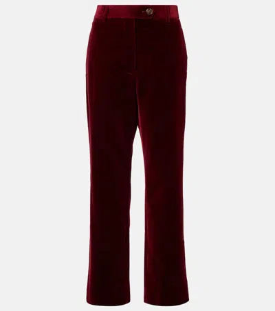 Blazé Milano Nana Cotton Velvet Straight Pants In Burgundy