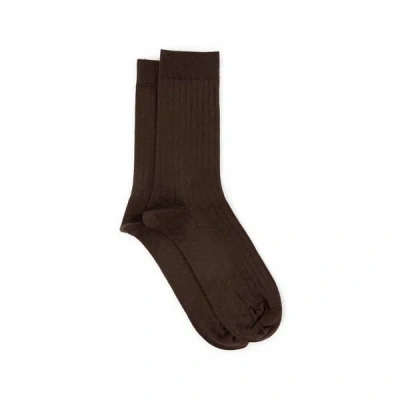 Bleuforêt Chaussettes En Maille Côtelée In Brown