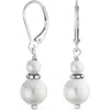 Bling Jewelry Resin Drop Earrings In Grey