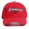 Blinkee Arkansas Razorbacks Flashing Fiber Optic Cap