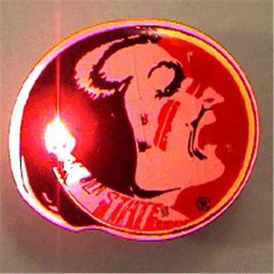 Blinkee Florida State University Crimson Tide Flashing Pin