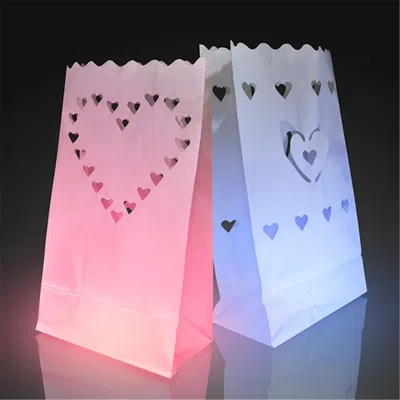 Blinkee Luminary Bags With Heart Designs