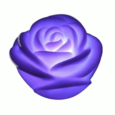 Blinkee Mood Rose Floating Centerpiece