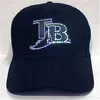 Blinkee Tampa Bay Devil Rays Flashing Fiber Optic Cap