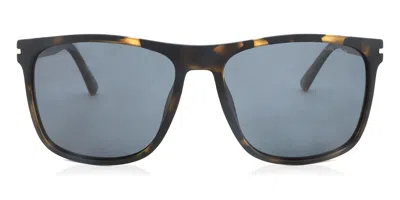 Bloc Luca Polarized Fp952 Occhiali Da Sole Tartarugatishell Per Uomo