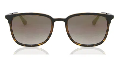 Bloc Monaco Ff50 Occhiali Da Sole Tartarugatishell Per Uomo