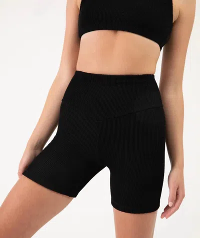 Bloch Women's High Waisted 5" Biker Shorts In Graphite In Pink