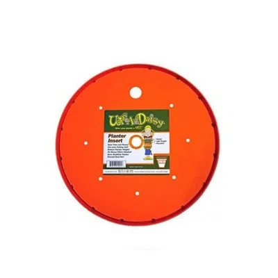 Bloem 14 Ups-a-daisy T6324 In Orange