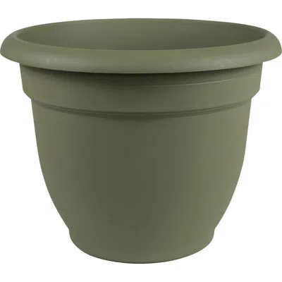 Bloem 20 Inch Ariana Pot Planter, Living Green In Gray