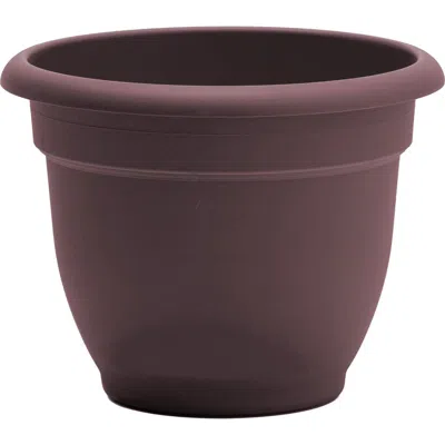 Bloem Ariana 13 Inch X 7 Inch Gardening Pot, Merlot In Brown