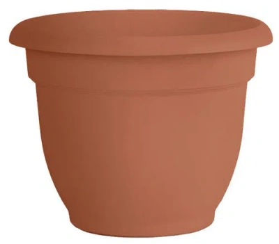 Bloem Ariana Pot Planter, Terra Cotta In Brown