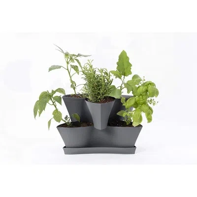 Bloem Collins Two Layer Plastic Indoor/outdoor Vertical Garden Planter In Charcoal