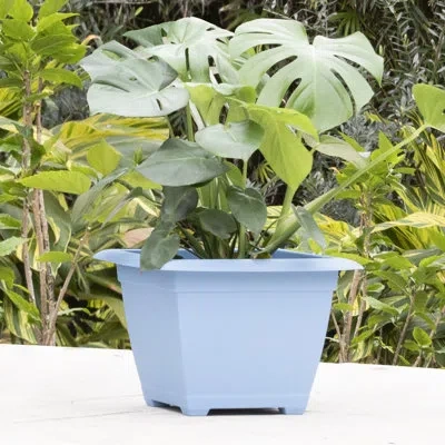 Bloem Dayton Traditional Recycled Square Indoor/outdoor Deck Box Planter In Ocean Blue