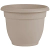Bloem Dice Pack (ks)-fr/en In Neutral
