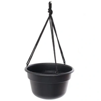 Bloem Dura Cotta Self Watering Hanging Basket Planter 12 Inch Black
